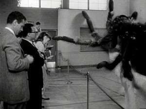 The spider (presumably dead) on display in Earth vs. the Spider (1958).