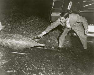 Dr. Bennell tries to examine one of the alien pods.